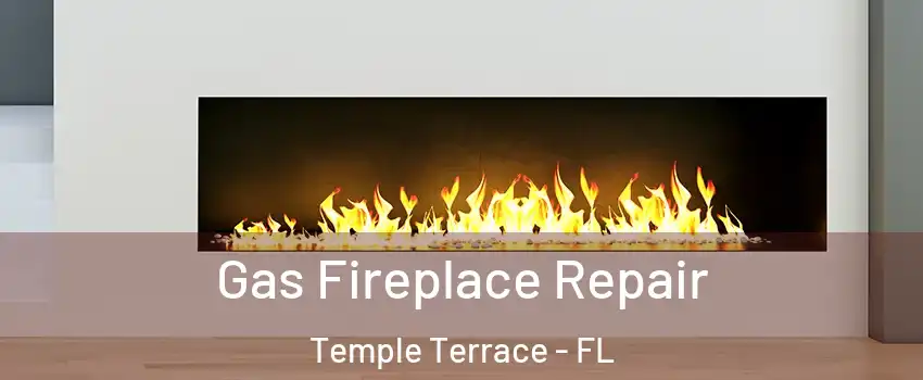  Gas Fireplace Repair Temple Terrace - FL