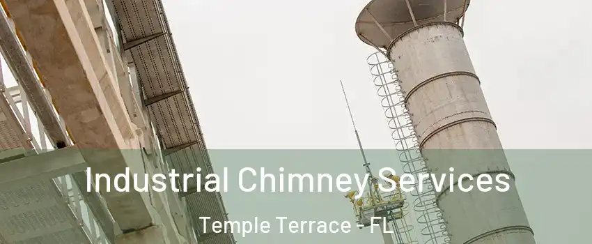  Industrial Chimney Services Temple Terrace - FL