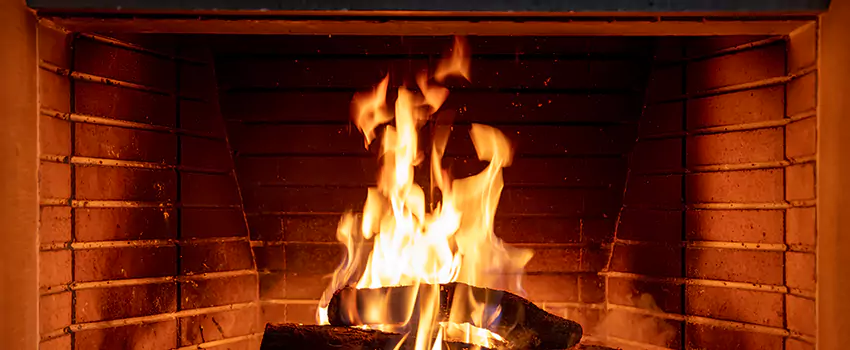 Soot Cleanup Services in Temple Terrace, FL