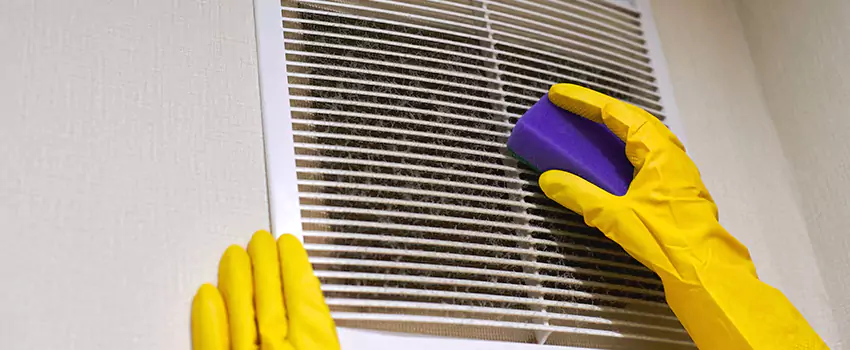 Vent Cleaning Company in Temple Terrace, FL
