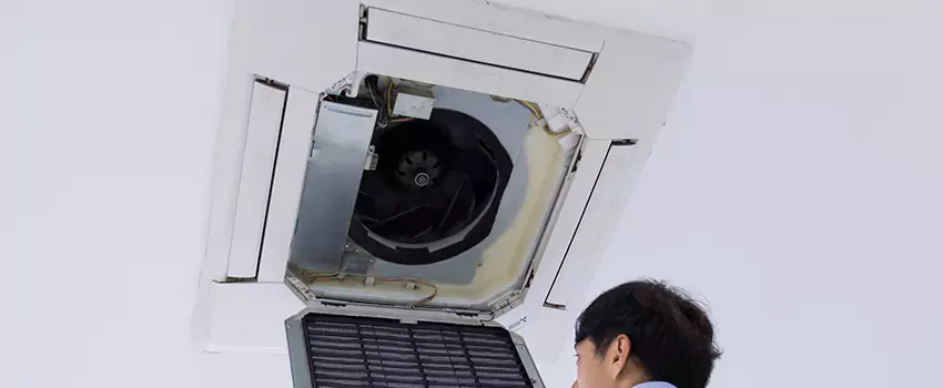 Benefits of Professional Air Duct Cleaning in Temple Terrace, Florida