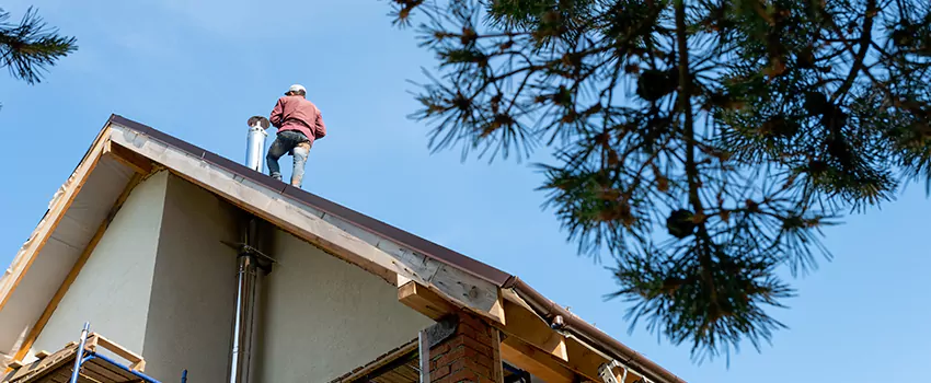 Birds Removal Contractors from Chimney in Temple Terrace, FL