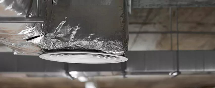 Signs of Dust Accumulation in Vents in Temple Terrace, FL