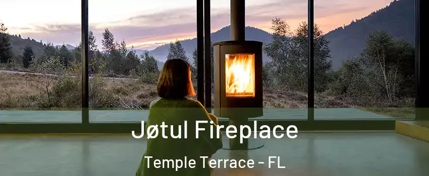  Jøtul Fireplace Temple Terrace - FL