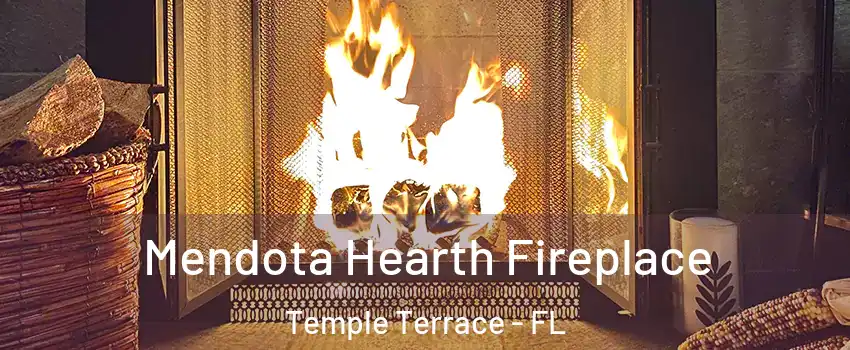  Mendota Hearth Fireplace Temple Terrace - FL