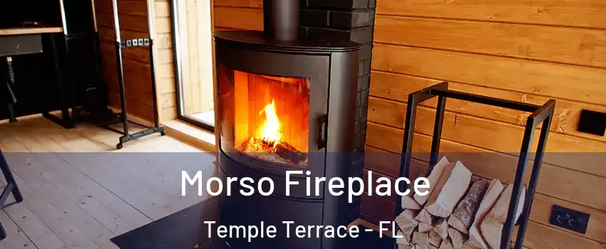  Morso Fireplace Temple Terrace - FL