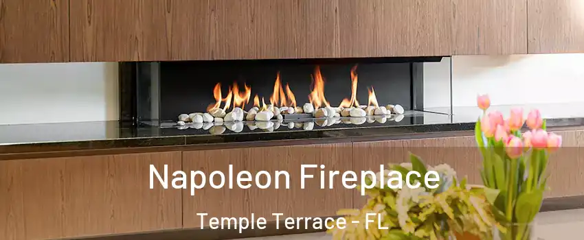  Napoleon Fireplace Temple Terrace - FL