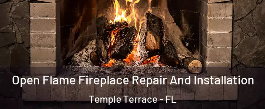  Open Flame Fireplace Repair And Installation Temple Terrace - FL
