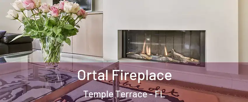  Ortal Fireplace Temple Terrace - FL