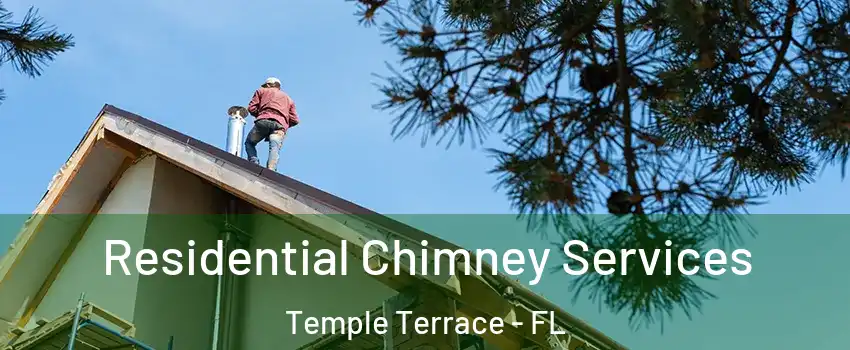  Residential Chimney Services Temple Terrace - FL