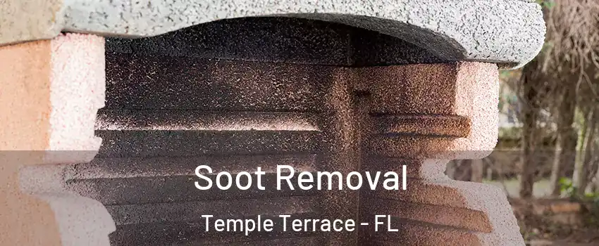  Soot Removal Temple Terrace - FL