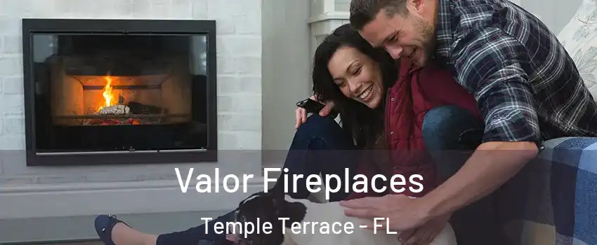  Valor Fireplaces Temple Terrace - FL
