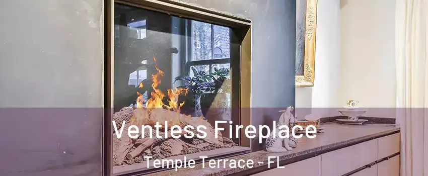  Ventless Fireplace Temple Terrace - FL